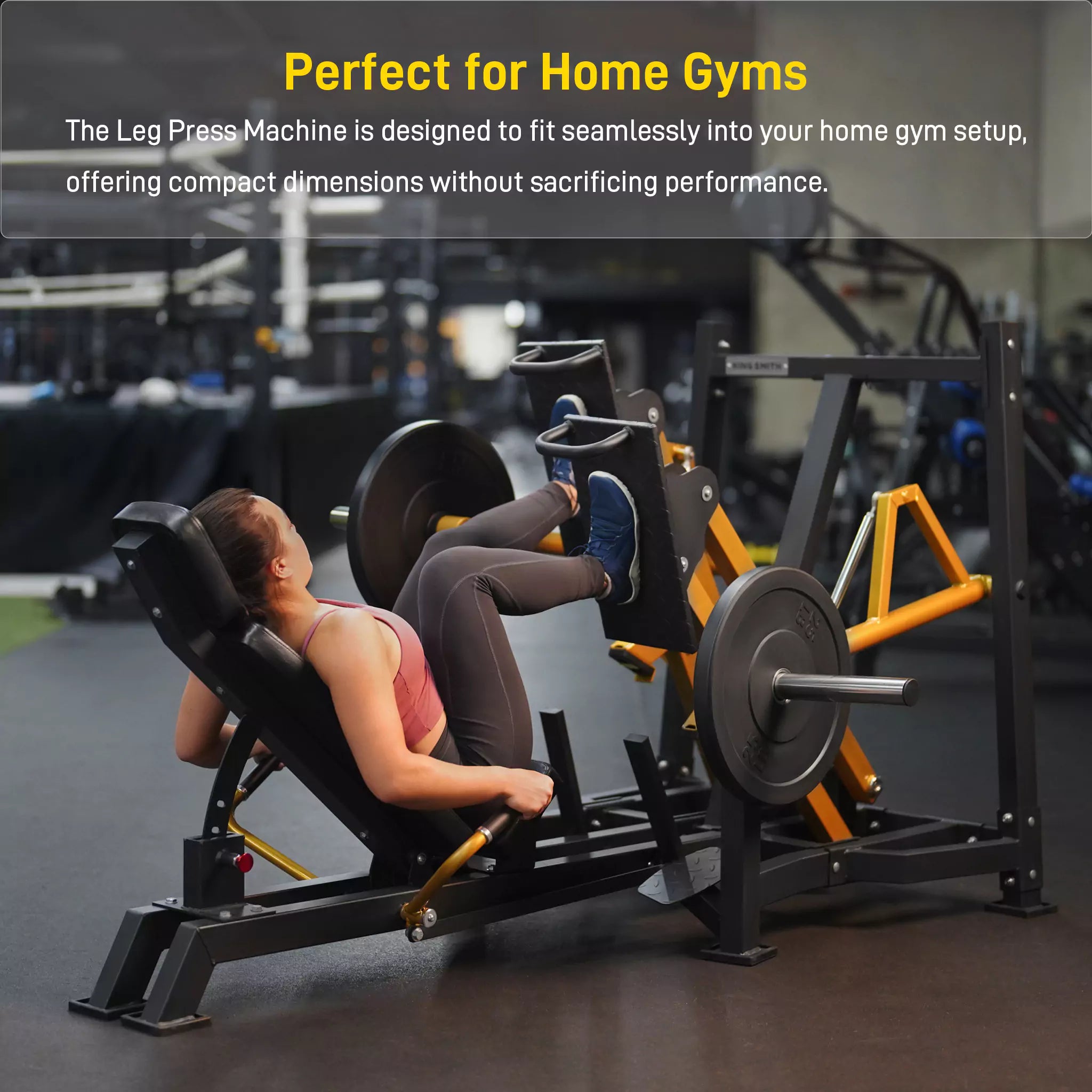 Home Gym Leg Press Machine with ISO Plate Design