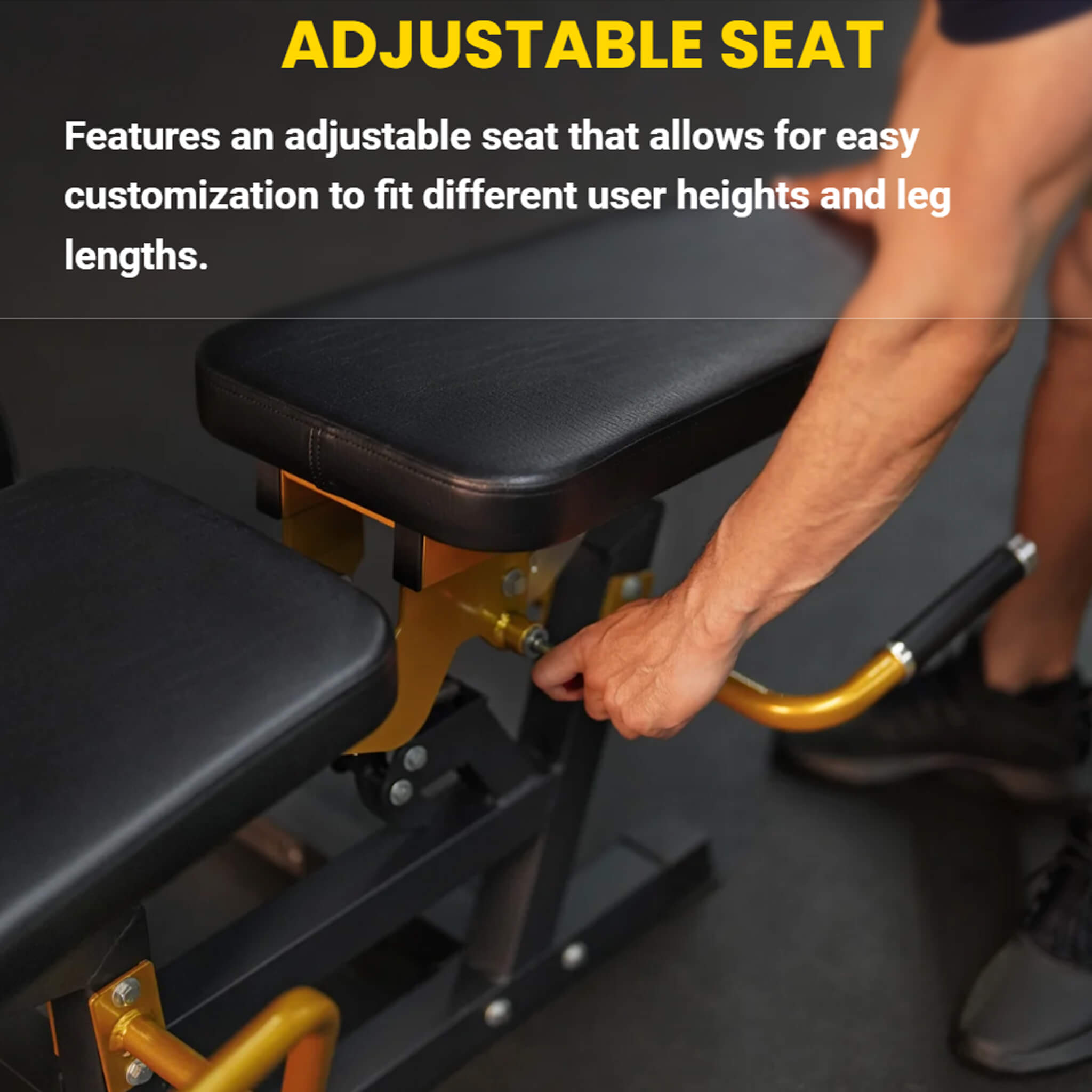 Leg Extension and Curl Machine for Home Gym