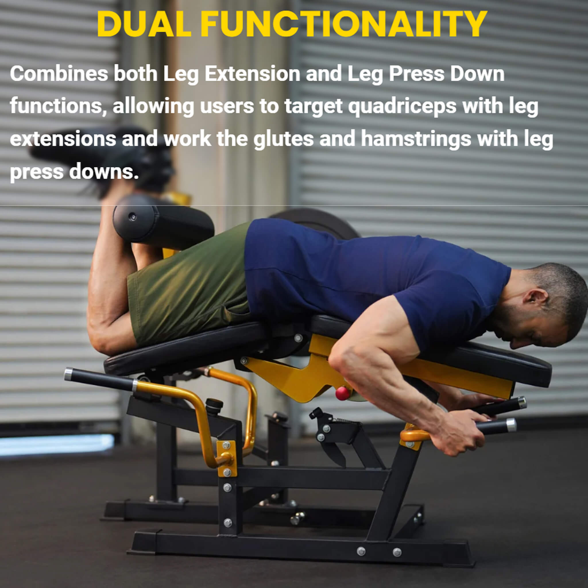 Leg Press Leg Curl Machine Exercises Hamstring Muscles Seated